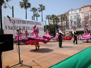 flamenco137.jpg (19216 bytes)