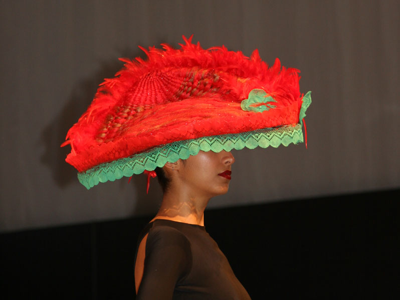 chapeau-det_5242.jpg (54730 octets)